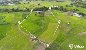 Mengenal Sistem Sewa Tanah di Indonesia Beserta Contohnya