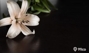7 Jenis Bunga yang Melambangkan Kesedihan Mendalam Berdasarkan Teori Floriografi. Sudah Tahu?
