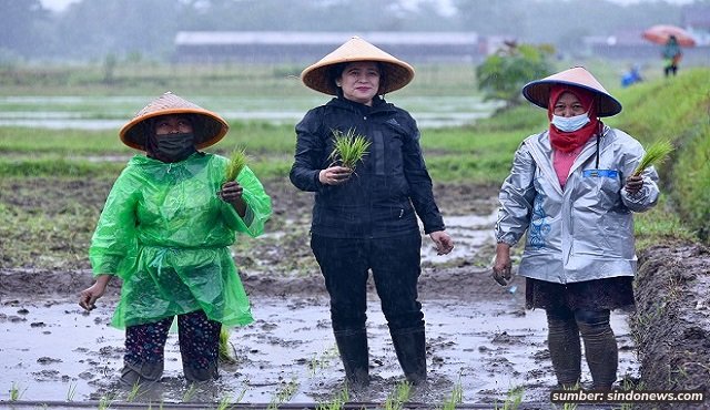 Survei Membuktikan Warga Perdesaan Lebih Pilih Puan Maharani dalam Pilplres 2024. Akibat Kerja Nyata?