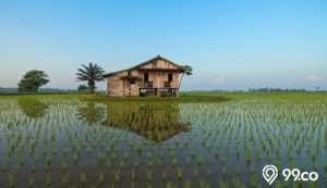Biaya dan Ide Desain Renovasi Rumah Kampung, Layak Dicoba!