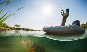 20 Arti Mimpi Mancing Ikan. Tak Perlu Khawatir, Bisa Jadi Pertanda Rezeki