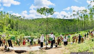 Persatuan Purnawirawan TNI AD Sumbang Ratusan Ribu Bibit Tanaman untuk IKN, Hijaukan Ibu Kota Nusantara!