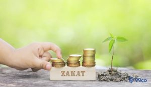 Cara Menghitung Zakat Jual Tanah dan Ketentuannya. Apakah Wajib?