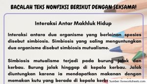 10 Contoh Teks Nonfiksi yang Singkat dan Mudah Dipelajari Beserta Penjelasannya