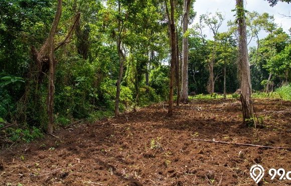 4 Cara Melaporkan Mafia Tanah secara Mudah. Bisa Lewat WhatsApp!