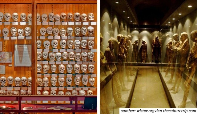 7 Museum Paling Menyeramkan di Dunia. Berani Datang Sendirian?