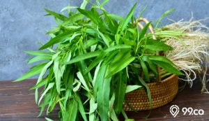 7 Cara Menyimpan Kangkung di Kulkas. Bikin Sayurannya Awet dan Segar Lebih Lama!