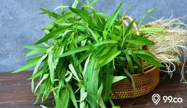 cara menyimpan kangkung di kulkas