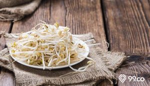 6 Cara Menyimpan Tauge di Kulkas dengan Benar agar Kesegarannya Terjaga. Anti Benyek!
