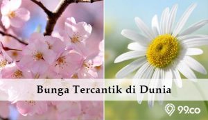 Daftar 5 Bunga Tercantik di Dunia dan Maknanya. Menawan Banget!