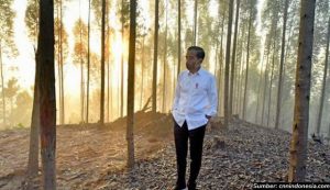 Jumlah Investor IKN ‘Membludak’, Jokowi Dibuat Kaget!