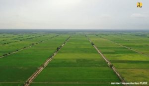 Dukung IKN Nusantara, 2500 Hektare Lahan Disiapkan untuk Food Estate. Tersebar di 4 Kecamatan!