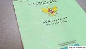 Bisakah Kamu Melakukan Pembatalan Sertifikat Tanah? Ini Penjelasan, Syarat, dan Caranya!
