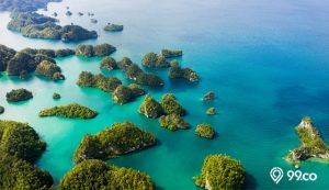 Bukan Cuma Pulau Widi, Ini Daftar Pulau di Indonesia yang Konon Dijual ke Warga Asing. Memangnya Boleh?