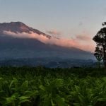 12 Tempat Wisata Temanggung Jawa Tengah Paling Hits 2025, Bisa jadi Pilihan!