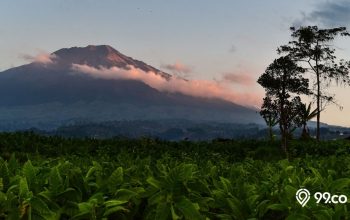 12 Tempat Wisata Temanggung Jawa Tengah Paling Hits 2025, Bisa jadi Pilihan!