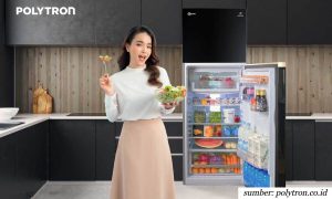 Rekomendasi Kulkas 2 Pintu Polytron Belleza Big Liter. Dilengkapi Banyak Fitur, tapi Hemat Listrik!