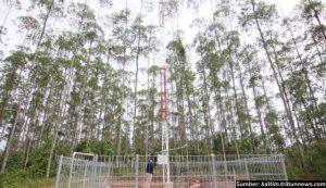 Sensor Cuaca Canggih Terpasang di IKN Nusantara, Bentuk Dukungan dari BMKG