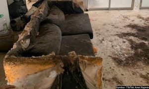 Viral! Penyewa Rumah Kabur dan Tinggalkan Kontrakan yang Bau Kotoran Kucing