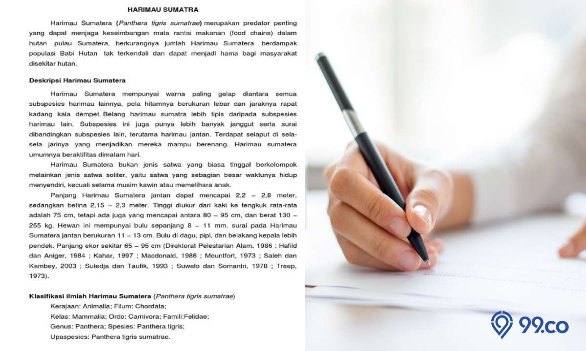 7 Contoh Teks Deskripsi tentang Hewan dan Strukturnya, Bisa Jadi Referensi!