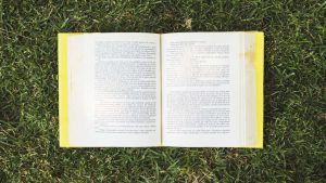 contoh resensi novel