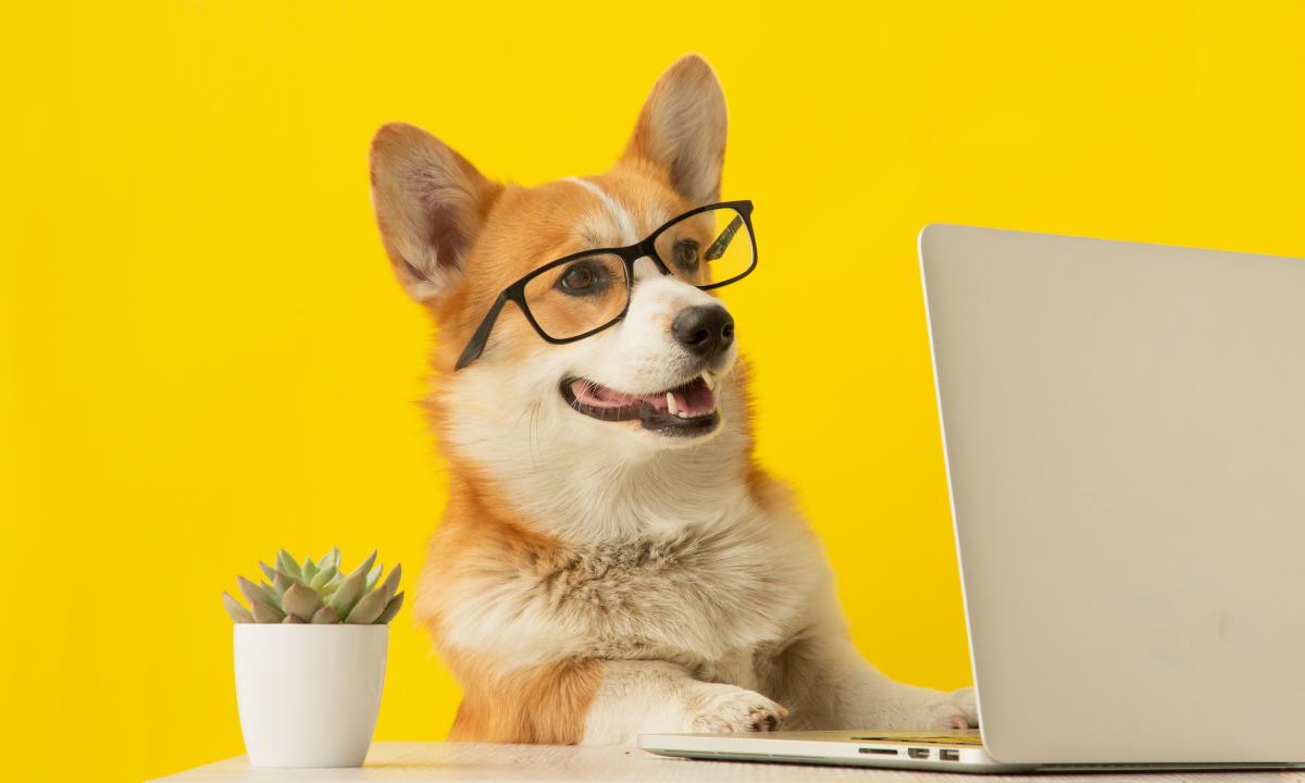 nama anjing yang bagus