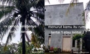 Intip Potret Rumah Setinggi Pohon Kelapa, Bentuknya Bikin Warganet Heran!