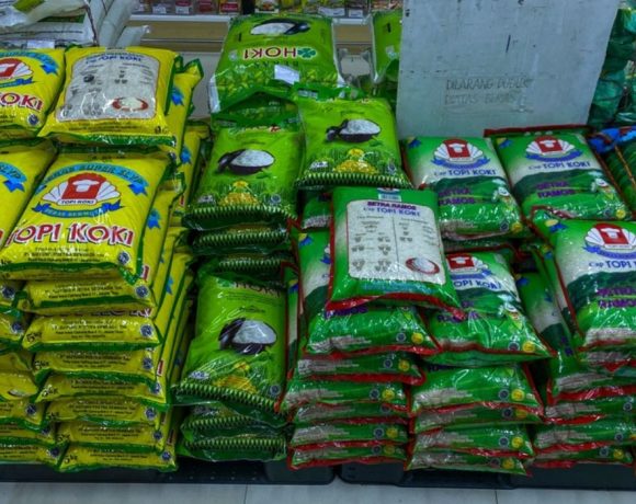 Harga Beras 5 Kg Berbagai Merk Terbaru di Ritel