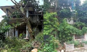 Perbandingan Rumah Mewah Dokter Wayan Vs Ibu Eny, Lebih Parah yang Mana? Perbandingan Rumah Mewah Dokter Wayan Vs Ibu Eny, Lebih Parah yang Mana?