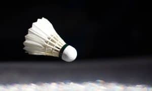 shuttlecock terbaik