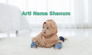 Arti Nama Shanum dalam Islam Dilengkapi Rekomendasi Rangkaian Namanya. Penuh Makna Baik!
