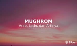 Lirik Sholawat Mughrom Arab, Latin, dan Artinya. Maknanya Sungguh Dalam!