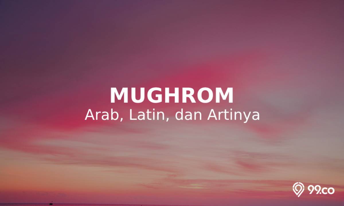 Lirik Sholawat Mughrom Arab, Latin, dan Artinya. Maknanya Sungguh Dalam!