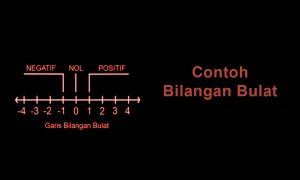 Kupas Tuntas Pengertian dan Contoh Bilangan Bulat yang Benar. Lengkap dengan Cara Menghitungnya!