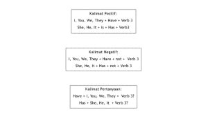 pola kalimat present perfect tense