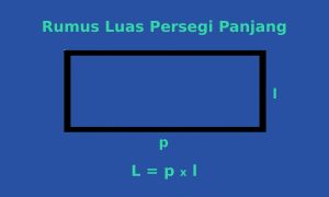 rumus luas persegi panjang