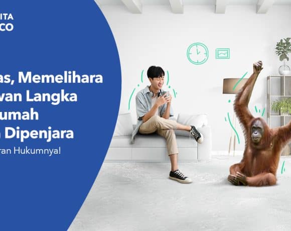 Aturan Hukum Memelihara Hewan Langka Dilindungi di Rumah