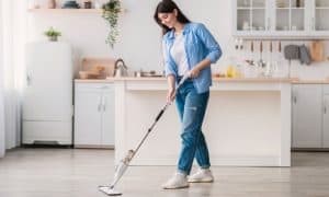 alat pel spray mop