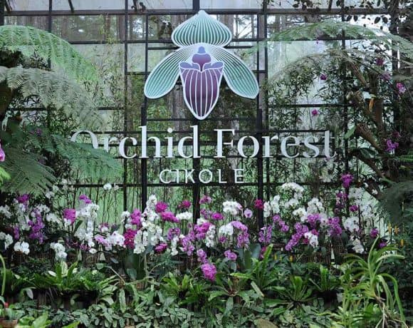 Pesona Wisata Orchid Forest Cikole di Lembang. Aktivitasnya Beragam!