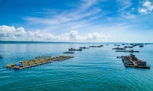 potensi kemaritiman indonesia