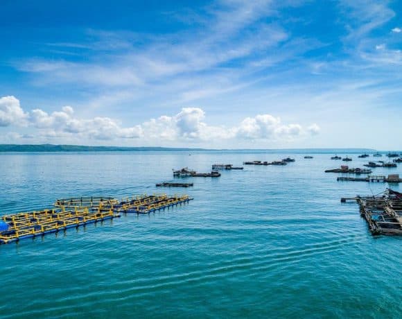 Potensi Kemaritiman Indonesia yang Menyimpan Kekayaan Laut Melimpah. Apa Saja?