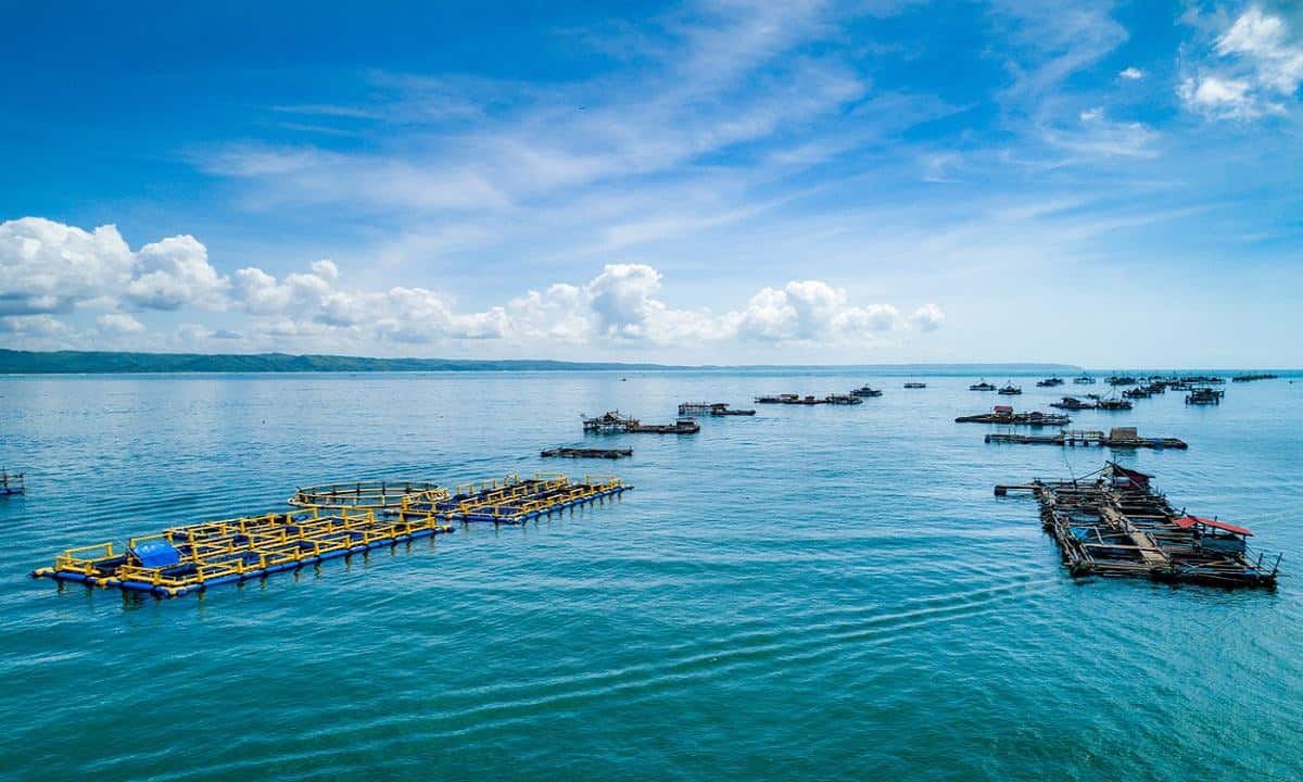 potensi kemaritiman indonesia