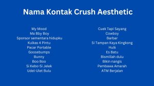 200 Nama Kontak Crush Aesthetic yang Lucu dan Ga Alay