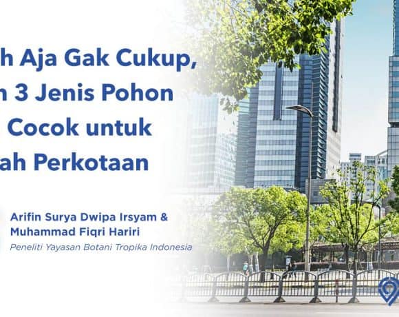 Jenis Tanaman atau Pohon yang Cocok untuk Daerah Perkotaan, Sudahkah Sesuai Peruntukannya?