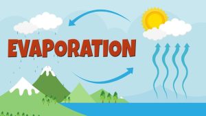 Evaporasi Adalah Penguapan. Ini Proses Terjadi dan Contohnya!
