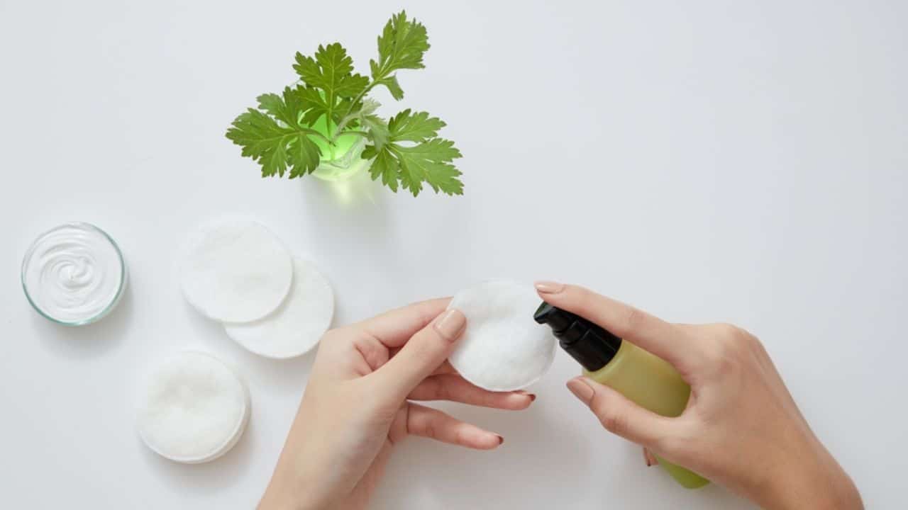 masker mugwort