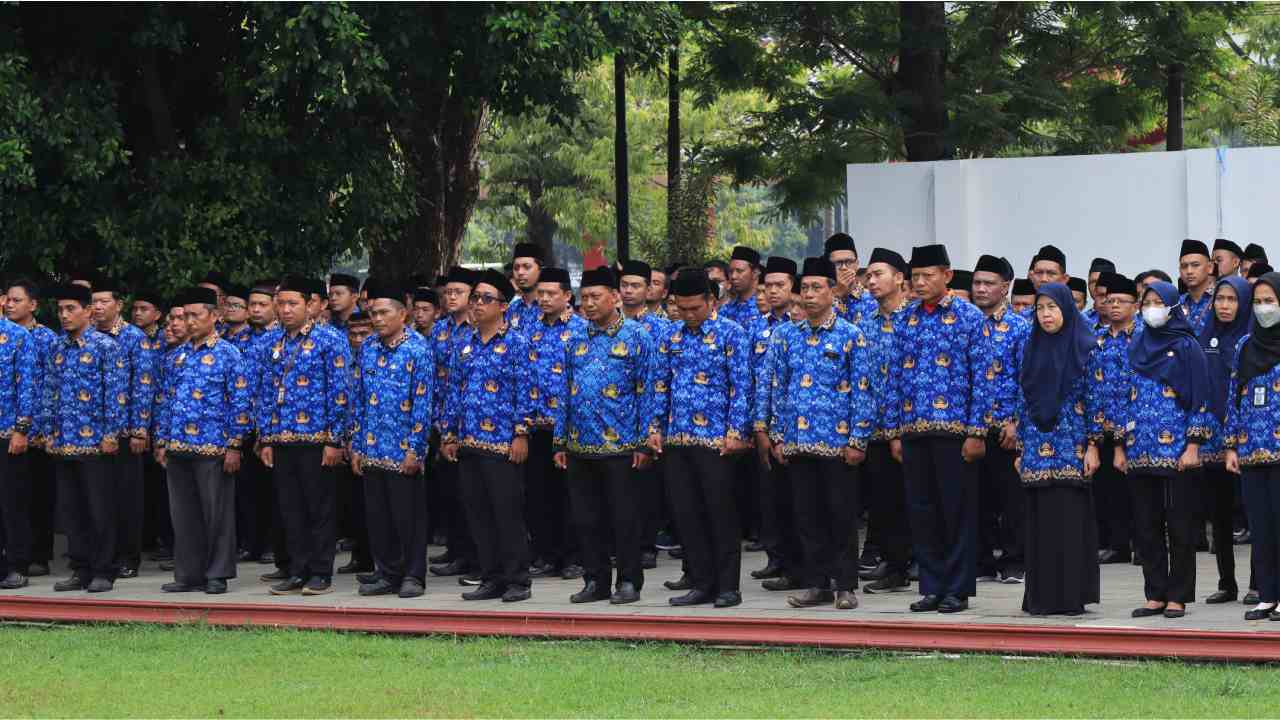 cpns