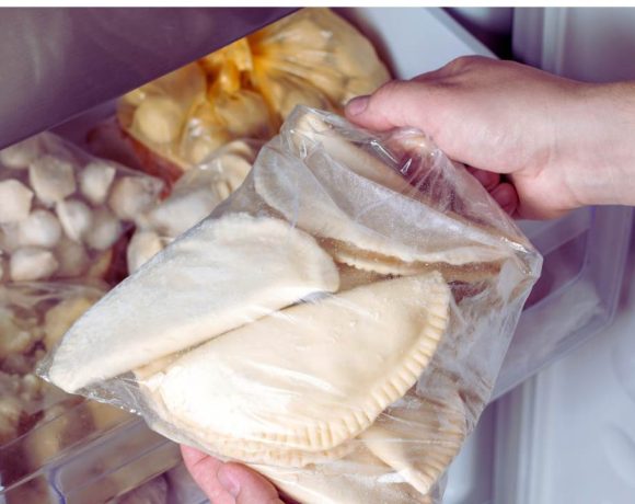 usaha frozen food