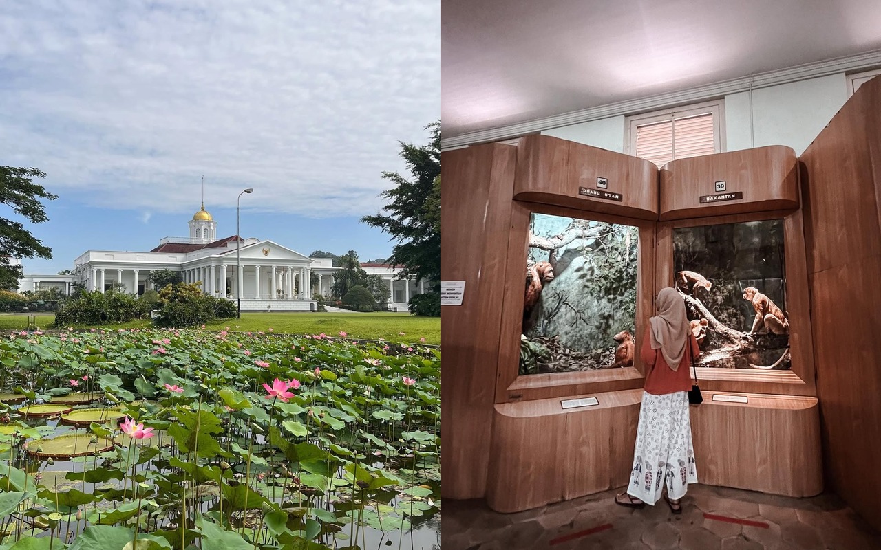 6 Rekomendasi Tempat Wisata Dekat Stasiun Bogor, Liburan Praktis